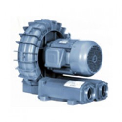 Vacuum Pumps &amp; Regenerative Blowers